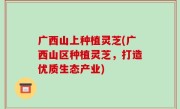 广西山上种植灵芝(广西山区种植灵芝，打造优质生态产业)