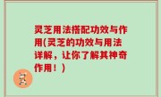 灵芝用法搭配功效与作用(灵芝的功效与用法详解，让你了解其神奇作用！)