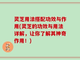 灵芝用法搭配功效与作用(灵芝的功效与用法详解，让你了解其神奇作用！)