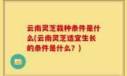 云南灵芝栽种条件是什么(云南灵芝适宜生长的条件是什么？)