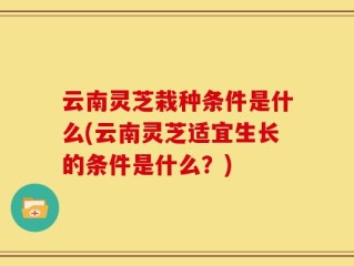 云南灵芝栽种条件是什么(云南灵芝适宜生长的条件是什么？)