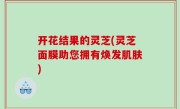 开花结果的灵芝(灵芝面膜助您拥有焕发肌肤)