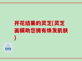 开花结果的灵芝(灵芝面膜助您拥有焕发肌肤)