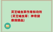 灵芝蛹虫草作用和功效(灵芝蛹虫草：神奇健康保健品)