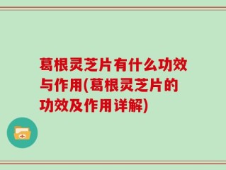 葛根灵芝片有什么功效与作用(葛根灵芝片的功效及作用详解)