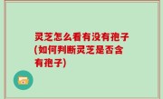 灵芝怎么看有没有孢子(如何判断灵芝是否含有孢子)