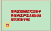 肇庆富硒破壁灵芝孢子粉肇庆出产富含硒的破壁灵芝孢子粉)
