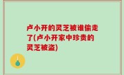 卢小开的灵芝被谁偷走了(卢小开家中珍贵的灵芝被盗)