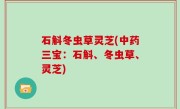 石斛冬虫草灵芝(中药三宝：石斛、冬虫草、灵芝)
