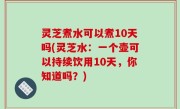 灵芝煮水可以煮10天吗(灵芝水：一个壶可以持续饮用10天，你知道吗？)