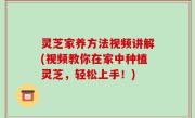 灵芝家养方法视频讲解(视频教你在家中种植灵芝，轻松上手！)