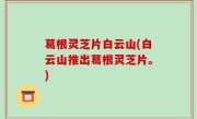 葛根灵芝片白云山(白云山推出葛根灵芝片。)