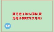 灵芝孢子怎么获取(灵芝孢子提取方法介绍)