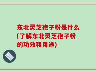 东北灵芝孢子粉是什么(了解东北灵芝孢子粉的功效和用途)