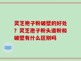 灵芝袍子粉破壁的好处？灵芝孢子粉头道粉和破壁有什么区别吗