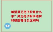 破壁灵芝孢子粉用什么水？灵芝孢子粉头道粉和破壁有什么区别吗