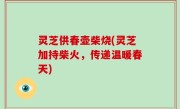 灵芝供春壶柴烧(灵芝加持柴火，传递温暖春天)