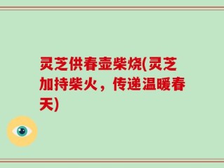 灵芝供春壶柴烧(灵芝加持柴火，传递温暖春天)