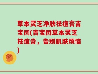 草本灵芝净肤祛痘膏吉宝团(吉宝团草本灵芝祛痘膏，告别肌肤烦恼)