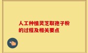 人工种植灵芝取孢子粉的过程及相关要点