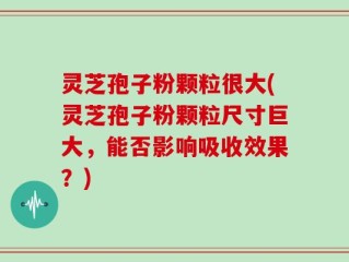 灵芝孢子粉颗粒很大(灵芝孢子粉颗粒尺寸巨大，能否影响吸收效果？)