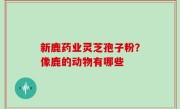 新鹿药业灵芝孢子粉？像鹿的动物有哪些
