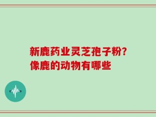 新鹿药业灵芝孢子粉？像鹿的动物有哪些