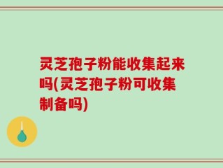 灵芝孢子粉能收集起来吗(灵芝孢子粉可收集制备吗)