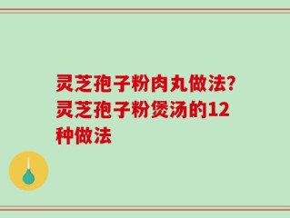 灵芝孢子粉肉丸做法？灵芝孢子粉煲汤的12种做法