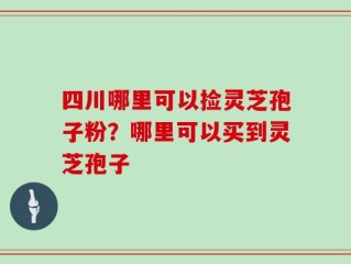 四川哪里可以捡灵芝孢子粉？哪里可以买到灵芝孢子