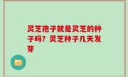 灵芝孢子就是灵芝的种子吗？灵芝种子几天发芽