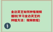 金边灵芝如何种殖视频播放(学习金边灵芝的种植方法：视频教程)
