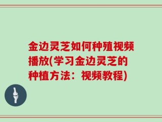 金边灵芝如何种殖视频播放(学习金边灵芝的种植方法：视频教程)