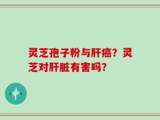 灵芝孢子粉与肝癌？灵芝对肝脏有害吗？