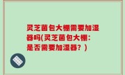 灵芝菌包大棚需要加湿器吗(灵芝菌包大棚：是否需要加湿器？)