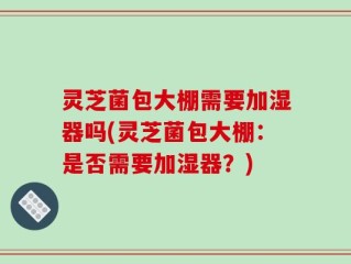 灵芝菌包大棚需要加湿器吗(灵芝菌包大棚：是否需要加湿器？)