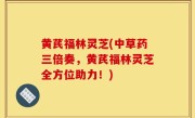黄芪福林灵芝(中草药三倍奏，黄芪福林灵芝全方位助力！)