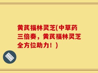 黄芪福林灵芝(中草药三倍奏，黄芪福林灵芝全方位助力！)