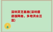 深圳灵芝暴雨(深圳遭遇强降雨，多地洪水泛滥)