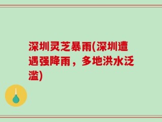 深圳灵芝暴雨(深圳遭遇强降雨，多地洪水泛滥)