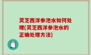 灵芝西洋参泡水如何处理(灵芝西洋参泡水的正确处理方法)