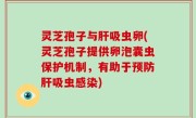 灵芝孢子与肝吸虫卵(灵芝孢子提供卵泡囊虫保护机制，有助于预防肝吸虫感染)