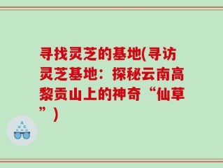 寻找灵芝的基地(寻访灵芝基地：探秘云南高黎贡山上的神奇“仙草”)