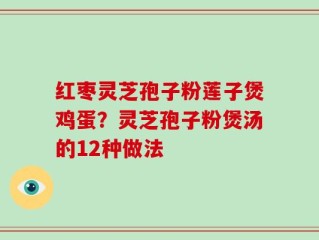 红枣灵芝孢子粉莲子煲鸡蛋？灵芝孢子粉煲汤的12种做法