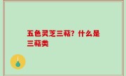 五色灵芝三萜？什么是三萜类