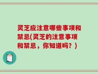 灵芝应注意哪些事项和禁忌(灵芝的注意事项和禁忌，你知道吗？)