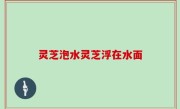 灵芝泡水灵芝浮在水面