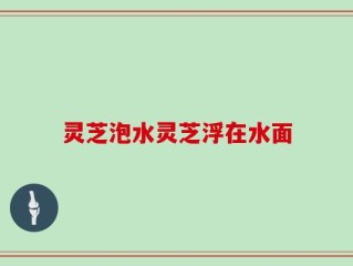 灵芝泡水灵芝浮在水面