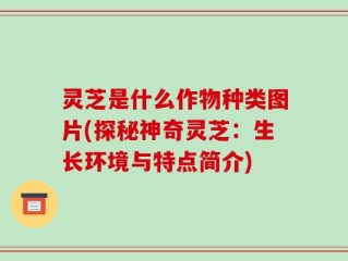 灵芝是什么作物种类图片(探秘神奇灵芝：生长环境与特点简介)