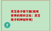 灵芝孢子镜下图(微观世界的奇妙之处：灵芝孢子的神秘外观)